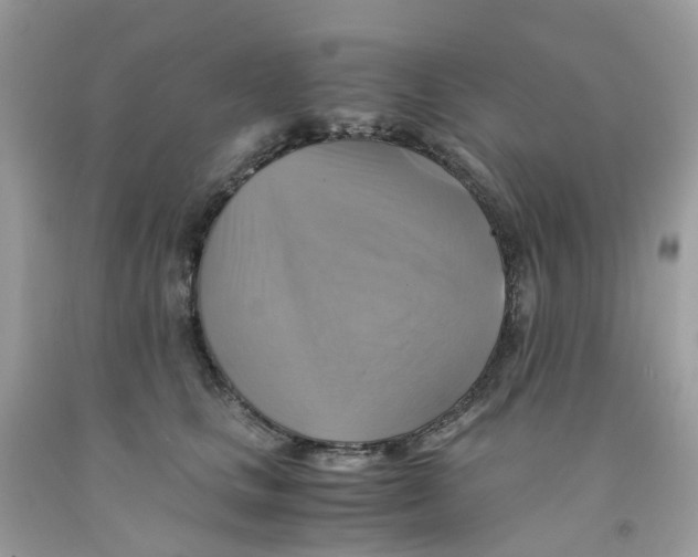 X0000091540661200709141456