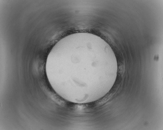 X0000091540662200709141456