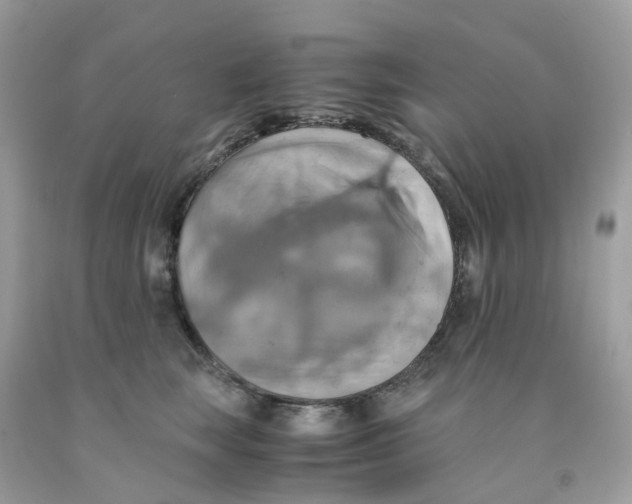 X0000091540663200709141457