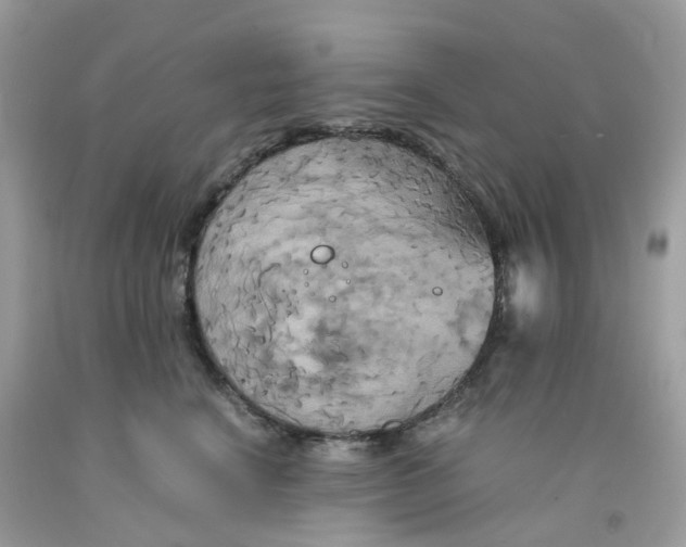 X0000091540664200709141457