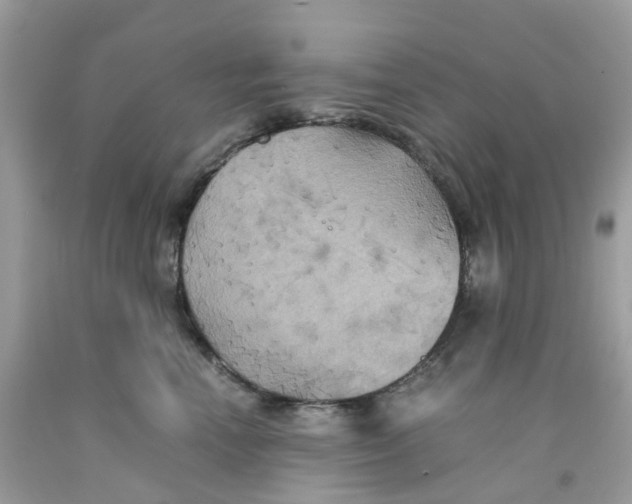 X0000091540666200709141457