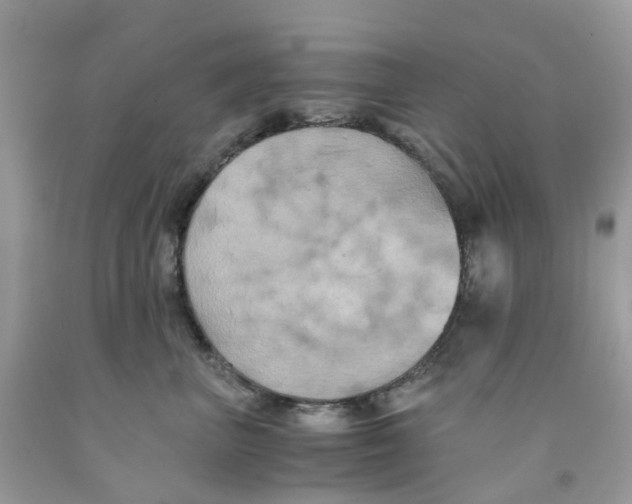 X0000091540667200709141457