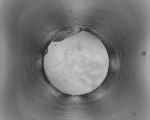 X0000091540668200709141457