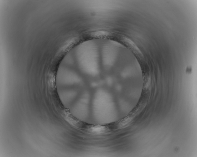 X0000091540669200709141457