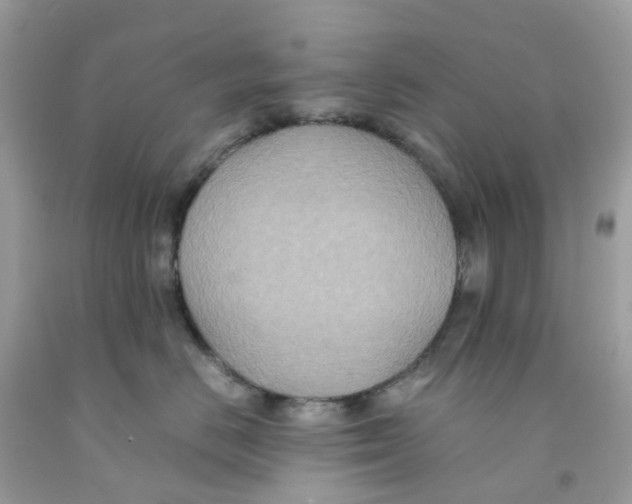 X0000091540670200709141457