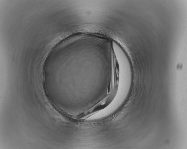 X0000091540673200709141456