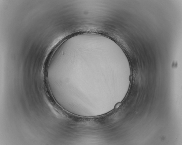 X0000091540674200709141456