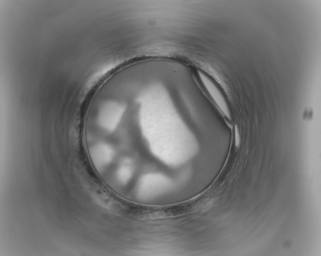 X0000091540675200709141456