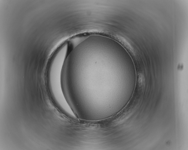 X0000091540676200709141456