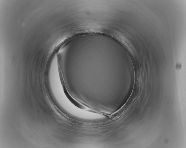 X0000091540677200709141456