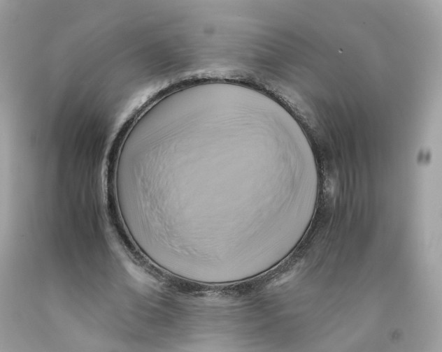 X0000091540678200709141456