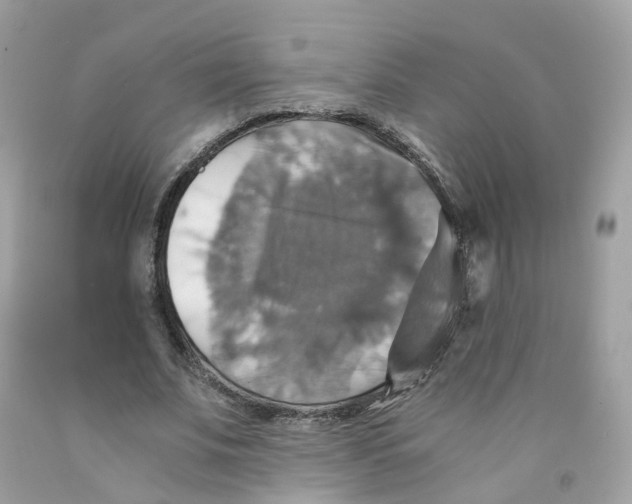 X0000091540679200709141456