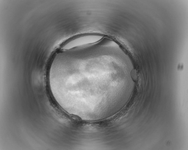 X0000091540680200709141456