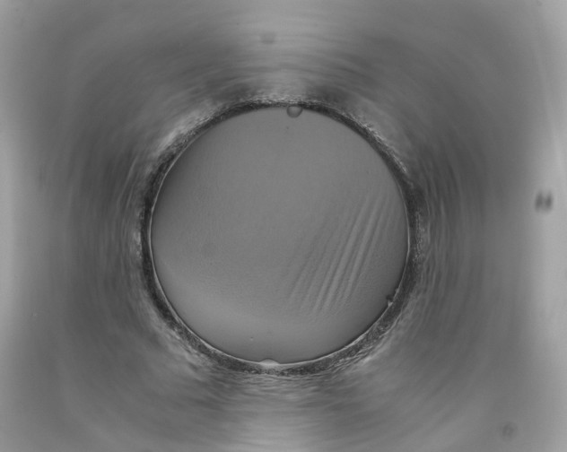 X0000091540681200709141456