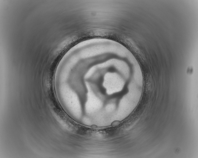 X0000091540683200709141456