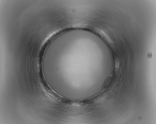 X0000091540684200709141456