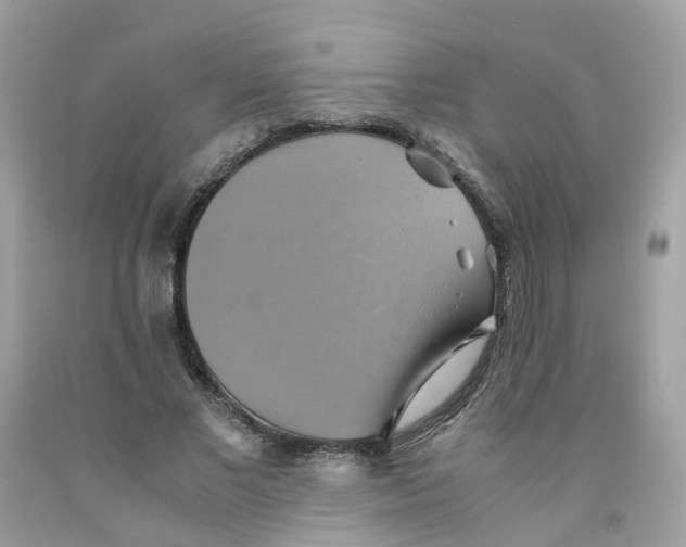 X0000091540685200709141456