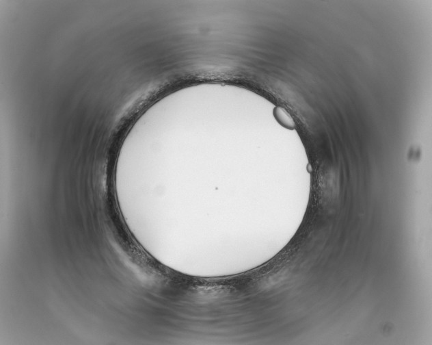 X0000091540686200709141456