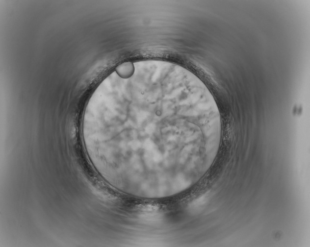 X0000091540687200709141456