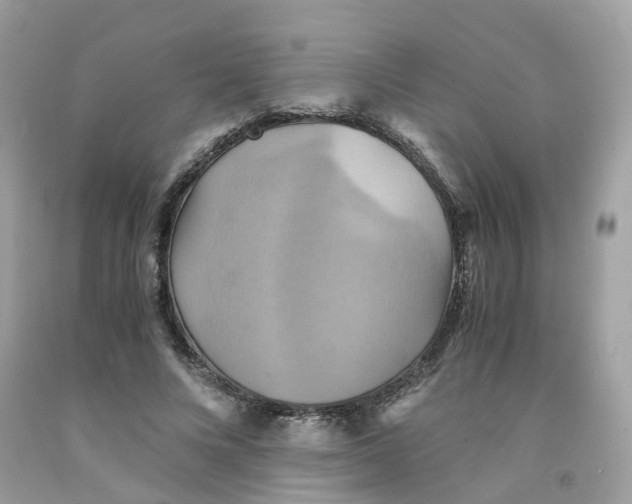 X0000091540688200709141456