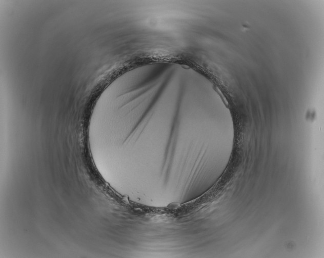 X0000091540689200709141456