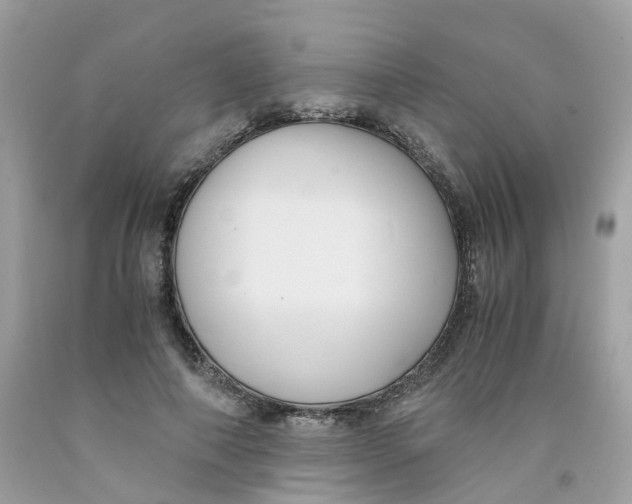 X0000091540690200709141456