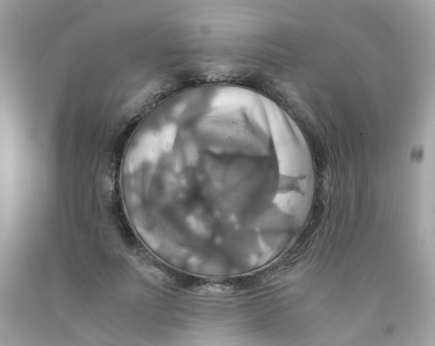 X0000091540691200709141456