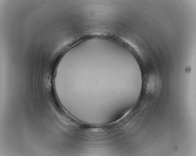 X0000091540692200709141456