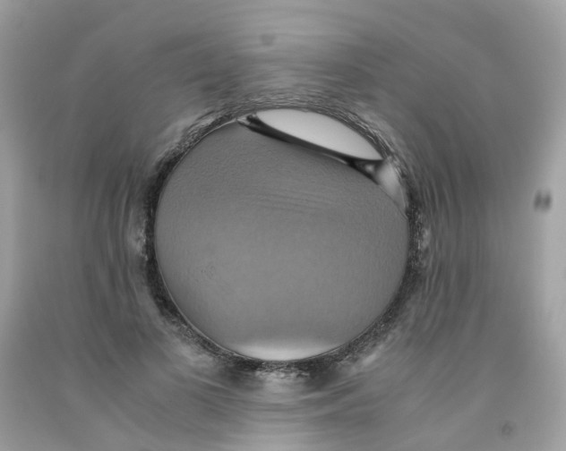 X0000091540693200709141456