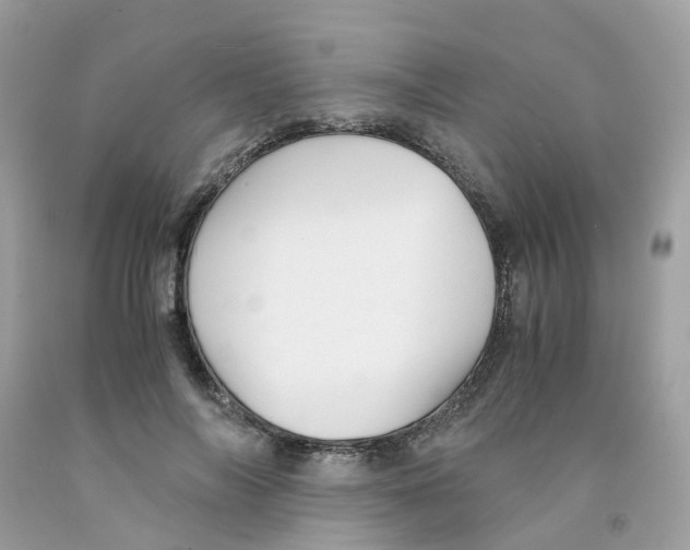 X0000091540694200709141456