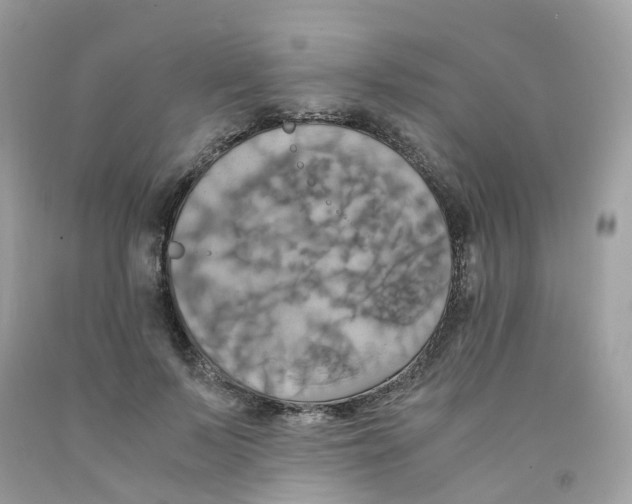 X0000091540695200709141456