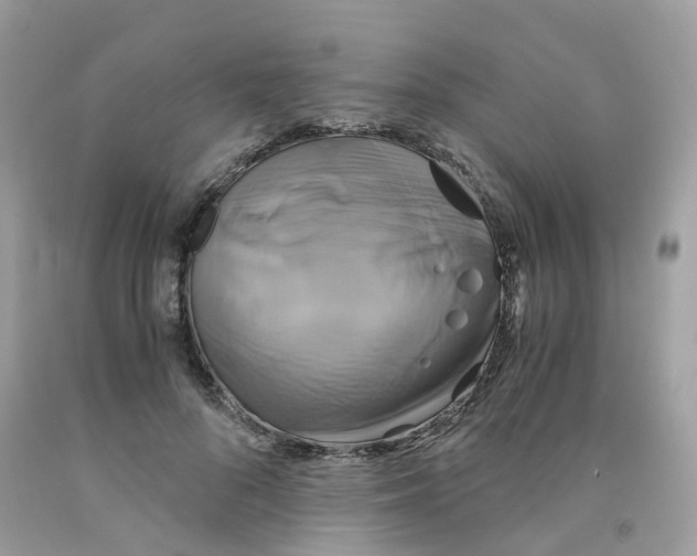 X0000091540696200709141456