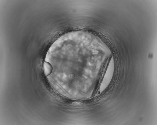 X0000091540699200709141456