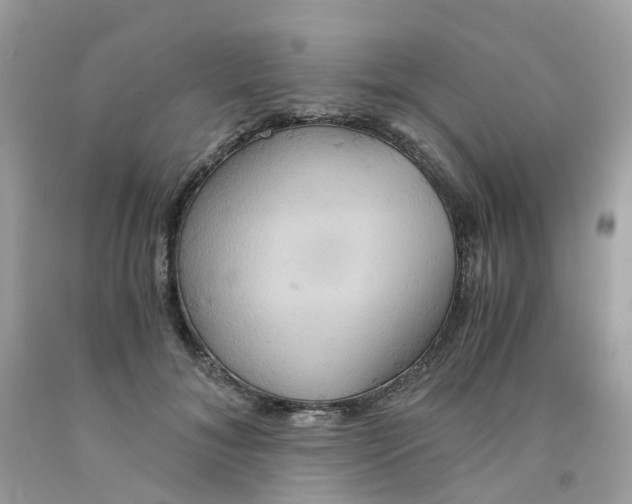 X0000091540700200709141456