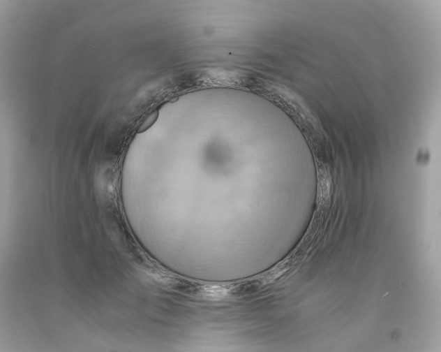 X0000091540701200709141456