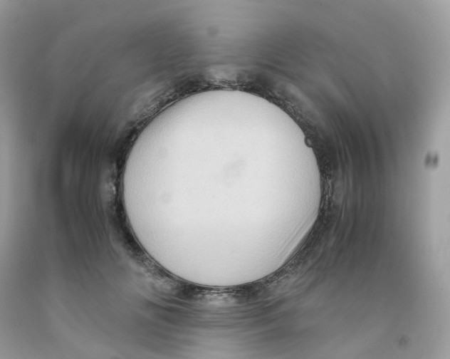 X0000091540702200709141456