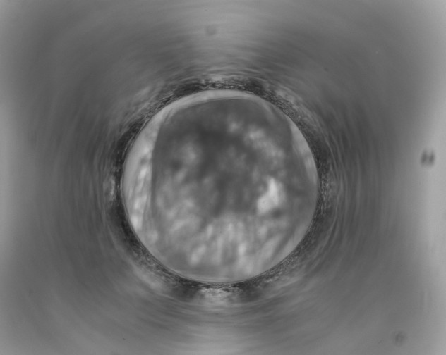 X0000091540703200709141456