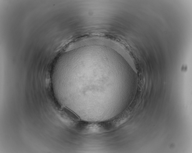 X0000091540704200709141456