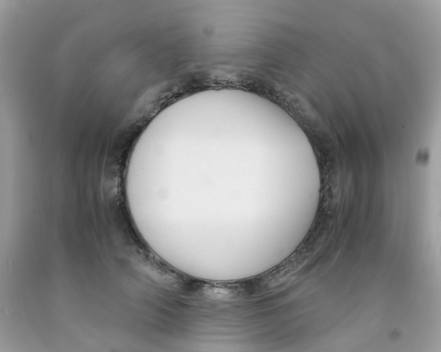 X0000091540706200709141456