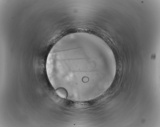 X0000091540707200709141456