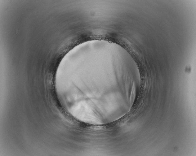 X0000091540711200709141456