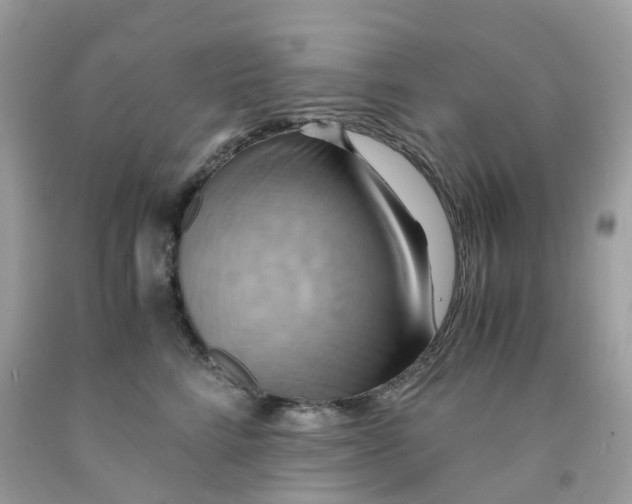 X0000091540712200709141456