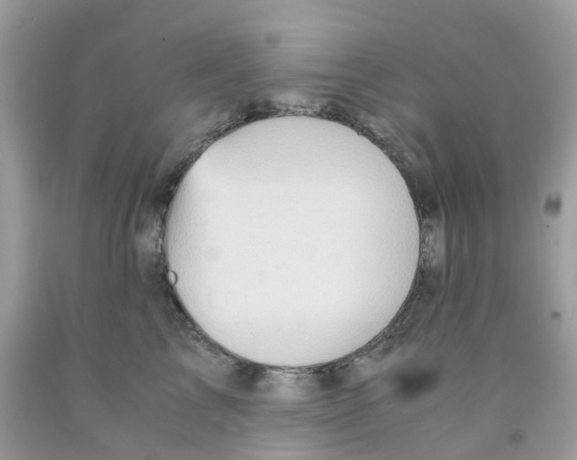 X0000091540713200709141456