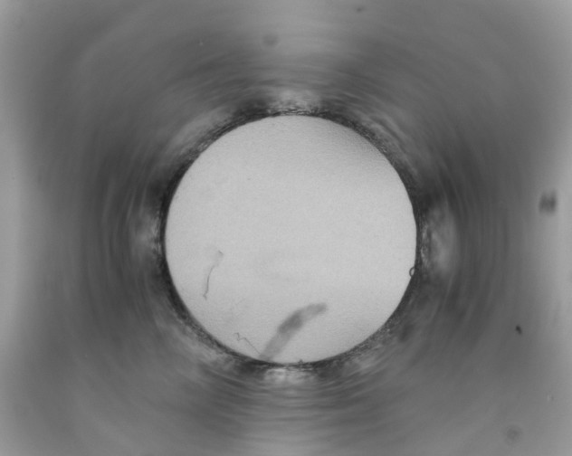 X0000091540714200709141456