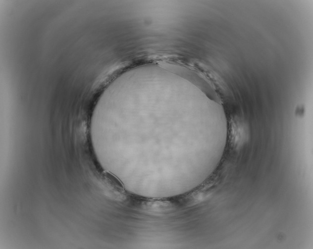 X0000091540716200709141455