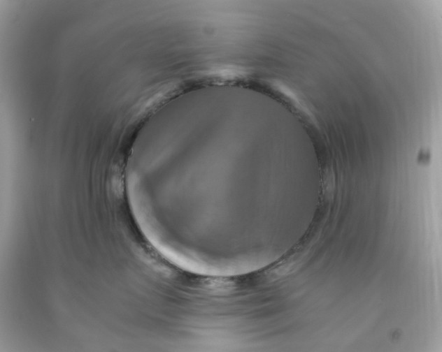 X0000091540719200709141455