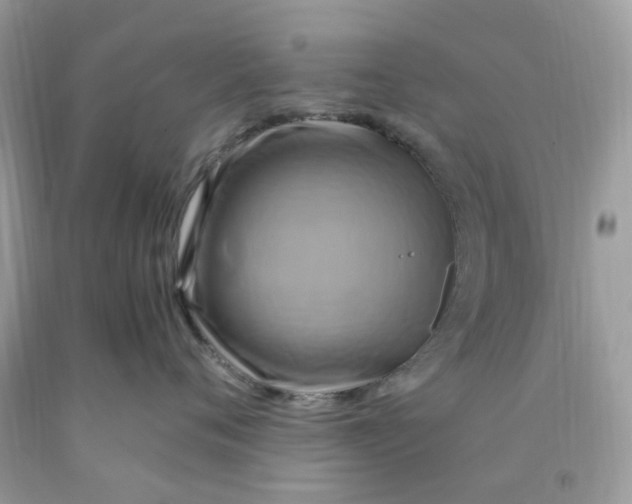 X0000091540720200709141455