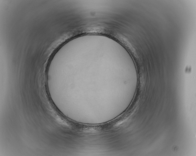 X0000091540721200709141455