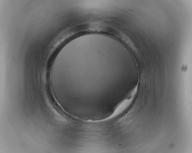 X0000091540722200709141455