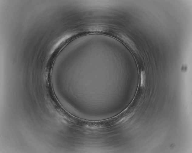 X0000091540723200709141455